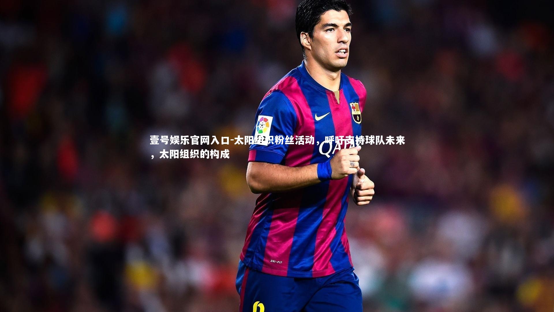壹号娱乐官网入口-太阳组织粉丝活动，呼吁支持球队未来，太阳组织的构成
