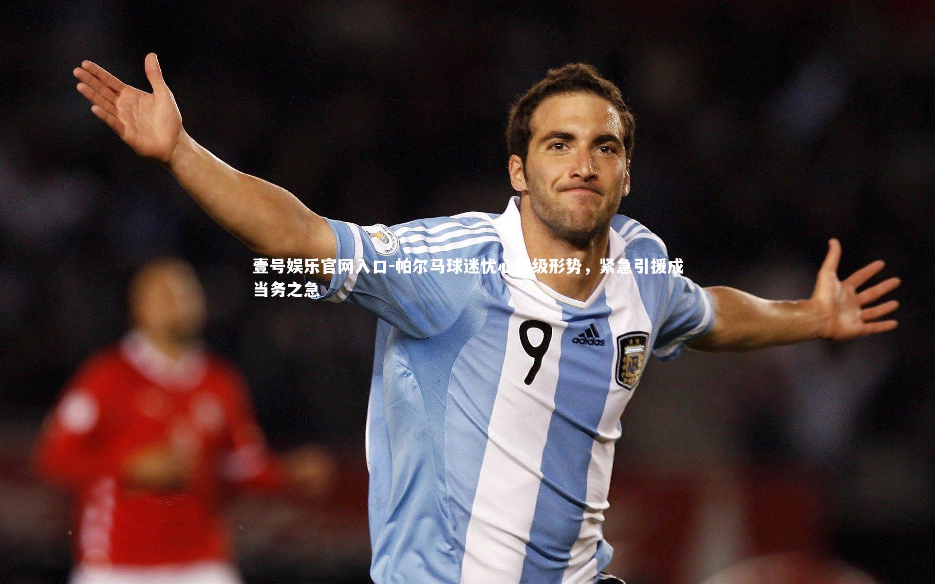 帕尔马球迷忧心保级形势，紧急引援成当务之急